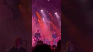 Women Without Whiskey - Drive By Truckers