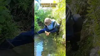 mancing chana di parit kecil menggunakan teknik mancing belut gaes🤣 #mancing