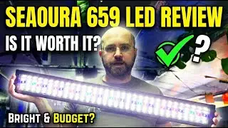 Seaoura 659 LED: Is This the Best Cheap Aquarium Light?