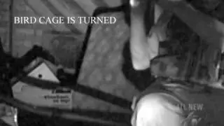 Ghost Adventures, Riddle House, Bird Cage. FAKE.