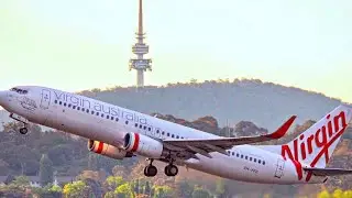 Canberra Airport Plane Spotting | Birds Over Runway Stops Takeoff
