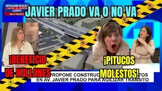 🚨 ¡PITUCOS CON MIEDO! | Regidora de Porky: 