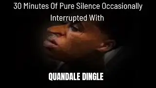 30 Minutes Of Pure Silence Occasionally Interrupted With Quandale Dingle
