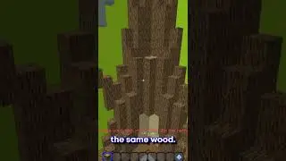How To Win MORE In Build Battle