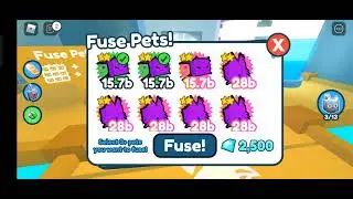 what happen if u fuse 3 rainbow star surfer #petsimx #petstimulatorroblox