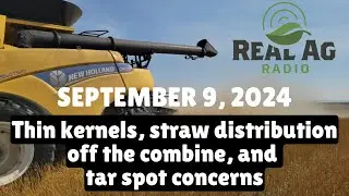 RealAg Radio: Thin kernels, straw distribution off the combine, and tar spot concerns, Sept 9, 2024
