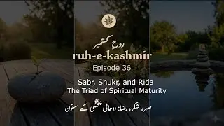 Episode 36:  Sabr, Shukr, and Rida &mdash; The Triad of Spiritual Maturity