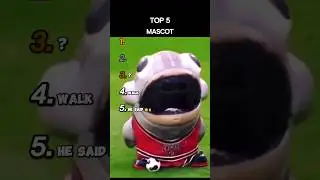 Top 5 Mascot