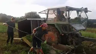Orangenminz-Ernte