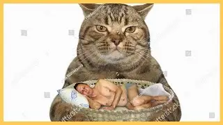 WTF Are These Stock Photos?! | @DarkStockPhotos