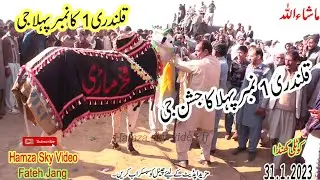 Qalndri 1 Ka Number 1 G  Phala No Ka Jashan