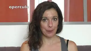 Dit-on un ou une OPERCULE ?