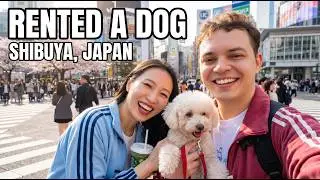 I Rented a Dog for 1 Hour in Shibuya&hellip; Here&rsquo;s What Happened!