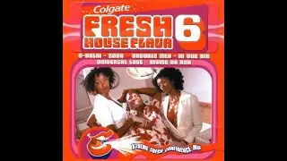 Fresh House Flava 6 - Mixed by DJ Fresh [2003]