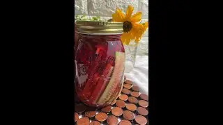 Instant Pickled Vegetable(radish, carrot, cucumber, beetroot and chili) #shorts