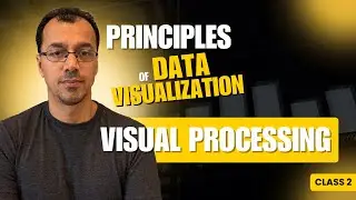 Principles of Data Visualization: Class #2 - Visual Processing