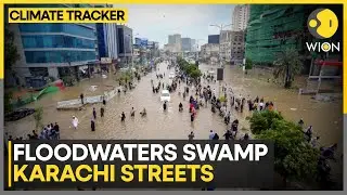 Pakistan: Mass Evacuations In Punjab Floods | WION Climate Tracker