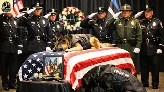 End of watch  K9 Rocky  Rest In Peace | top best dog training techniques