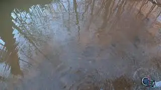 Creek exploration