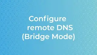 Remote DNS Bridge Mode