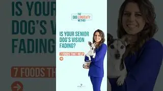 Is Your Senior Dog&rsquo;s Vision Fading? 🐶👀