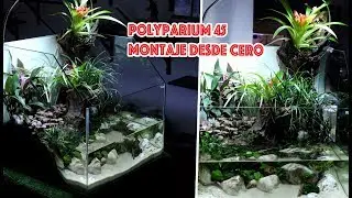 Montaje sencillo de un paludario para peces Guppy Endler