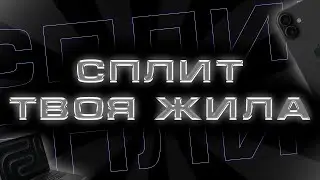 АБУЗ СПЛИТА АКТУАЛЕН? полный разбор