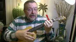Willard Losinger Performs 