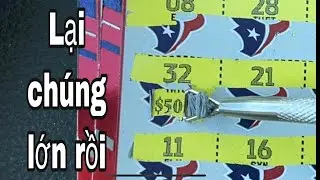 Big win. Lại trúng lớn rồi các bác ạ