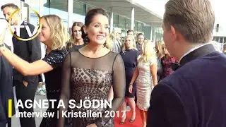 Agneta Sj&ouml;din 