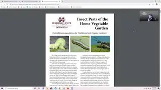 MSU Extension Resources for Managing Insects and Plant Disease in the Home Garden