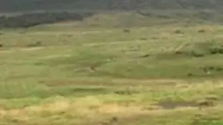AK-103 hitting target at 1000yrds