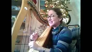 Antlered Crown and Standing Stone (Damh the Bard) Cover on Bardic Harp