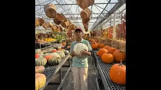 The Dark Side of Pumpkin Patches