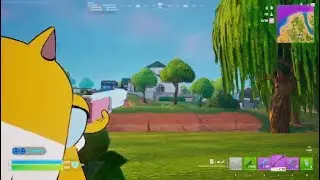 Fortnite Reload Win with Cake the Cat (finally after too many attempts)