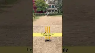Which way will it spin (cricket leather ball)?