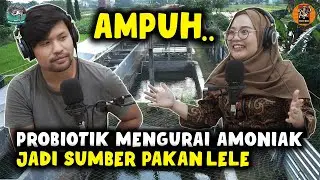 BUDIDAYA IKAN LELE DENGAN GREEN WATER SYSTEM [ GWS ] VERSI SIDOKARTO FISH FARM | HASIL MELIMPAH RUAH