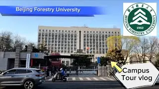 Beijing Forestry University China 🇨🇳 My University Campus Tour Vlog