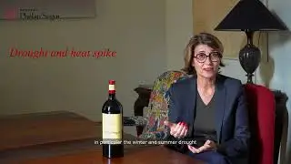 Ch&acirc;teau Ph&eacute;lan S&eacute;gur - Saint-Est&egrave;phe - Mill&eacute;sime 2022 