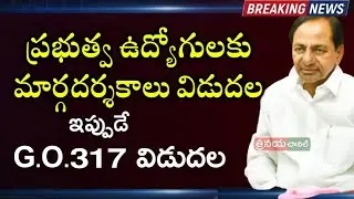 Telangana Government Released Guidelines to Reorganisation of Local Cadres || G.O.317 Released