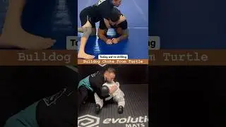 Bulldog Choke From Turtle