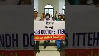Sindh Doctors Ittehad demands for implantation on Bilawal Bhutto promise|Health Watch|Abid Lodhi