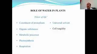 Water Absorption- Role of water in plants, Imbibition in plants