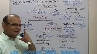 Carbohydrates - Identification Test