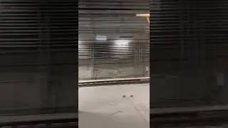 Skoda Varsovia on the M2 subway line at Brodno station in Warsaw 🚇
