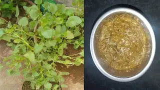 Cukkaku chatni #rayalaseema ruculu#