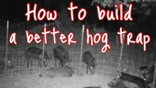 How to build a easy hog trap (better)
