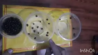 3D Model of States of Matter, States of Matter Project, 3 States of Matter, Solid Liquid Gas Model