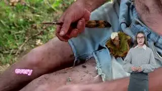 The Reason Birds Are Going EXTINCT In This Eastern European Country