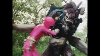 Pink Zeo Ranger vs Wolfbane
